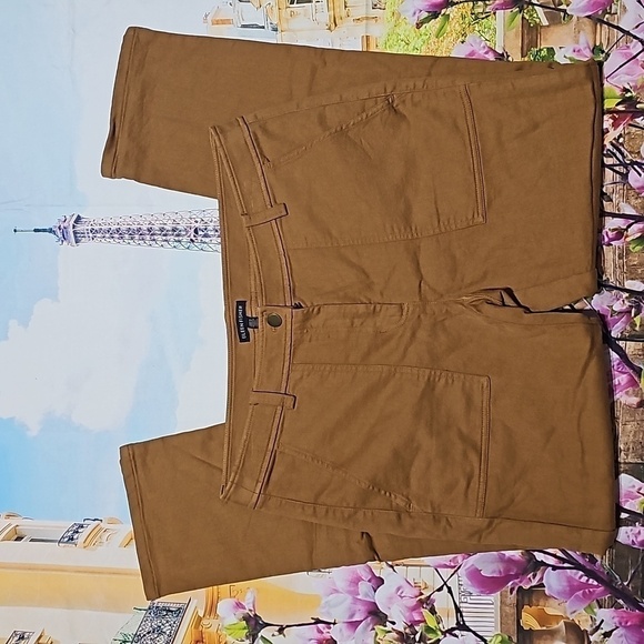 Eileen Fisher Burnt‎ Orange Organic Cotton Chino Pants Size 8 - Picture 2 of 5